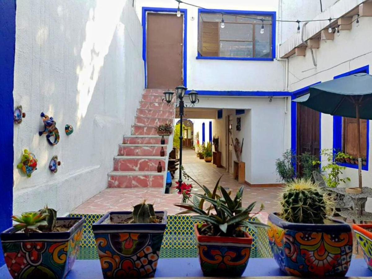 Ikali Hostel Monterrey Eksteriør bilde